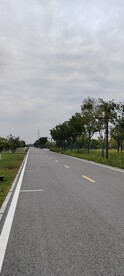 马路