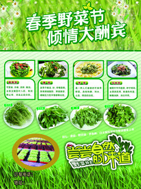 商务酒店 野菜美食节 
