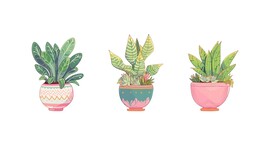 盆栽植物