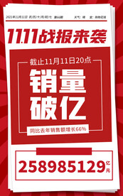 双11战报