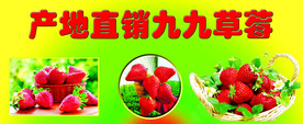 九九草莓
