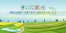 乡村振兴