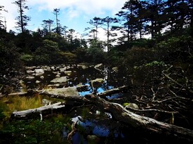 山涧流水