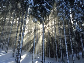 雪景