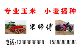 玉米小麦播种名片