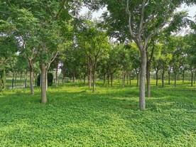 草地树林