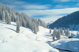 雪景