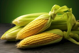 玉米玉米