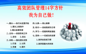 团队管理方针
