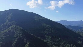 航拍田园风光