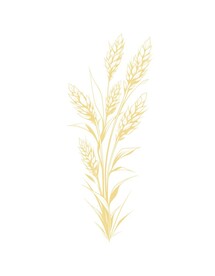 麦穗