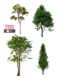 树素材
