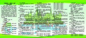 彩页折页