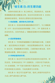 维生素B1的生理功能