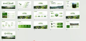 教育扶贫支教助学计划工作汇报