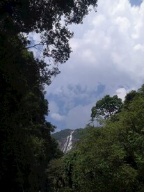 山中风景
