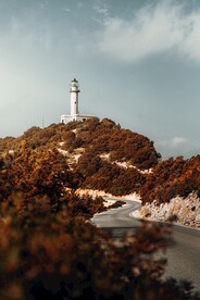 瞭望塔和道路