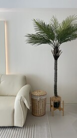 家居绿植摆件