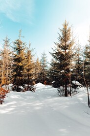 冬季山林雪景