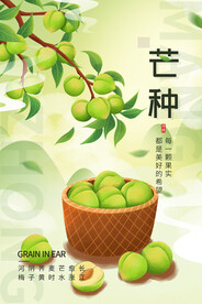 芒种海报