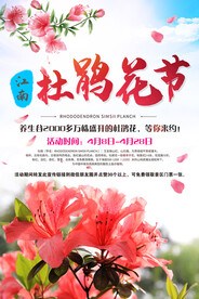 杜鹃花节
