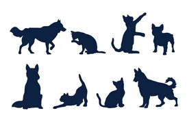 猫狗剪影