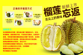 泰国榴莲