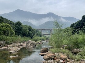 小溪 河流