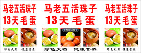 活珠子  毛蛋