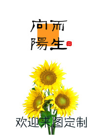 向阳而生 门帘