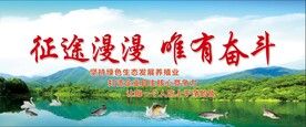 野生鱼