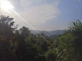 五磊寺的山
