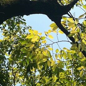 春意盎然