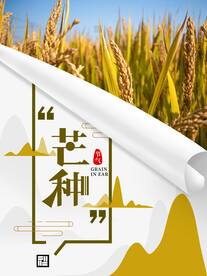芒种海报