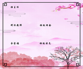 小学班级简介