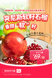 软籽石榴