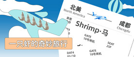 飞机票