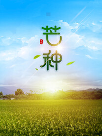 芒种海报