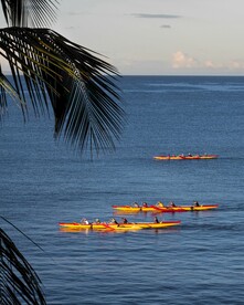 海上划船比赛