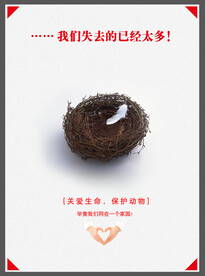 保护动物