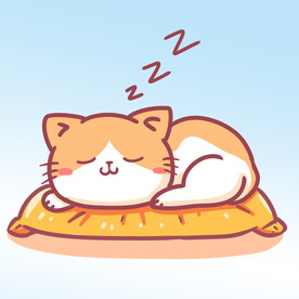 猫咪睡觉 