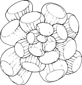 白描植物           
