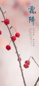 霜降二十四节气