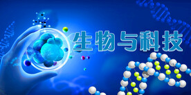 医学论坛