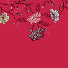 线条花 唯美花朵