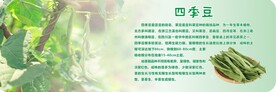 四季豆