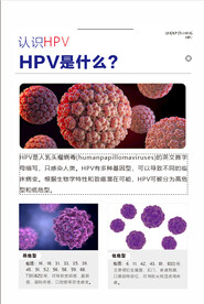 HPV 是什么