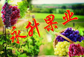 水果葡萄