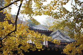 寄畅园