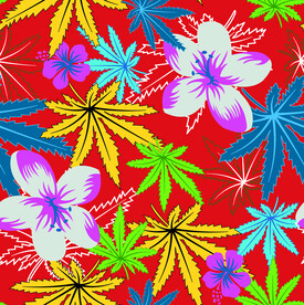 大牌  男装 数码印花  椰子